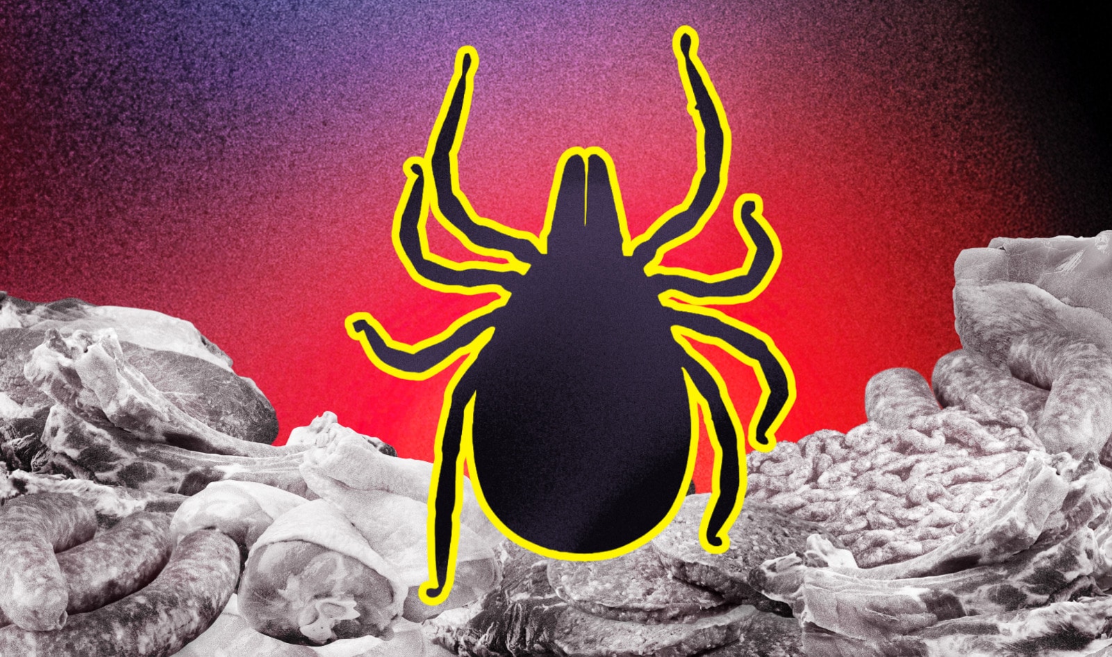 So … a Tick Just Made 500 People in Martha’s Vineyard Vegan